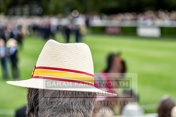 GUK Goodwood Sale 2019-130