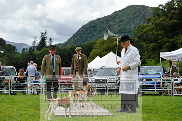 Rydal 2014 CF2 893
