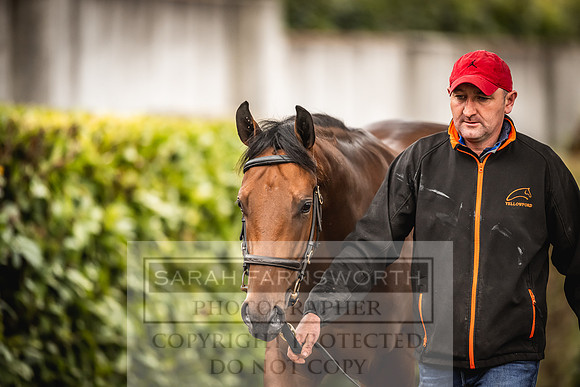 Goffs Orby 2022 Day 1-26