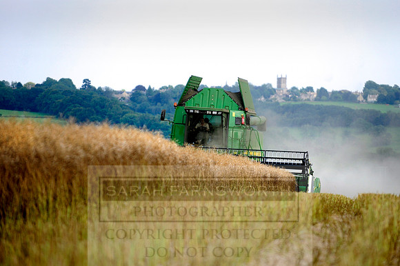 combining r-oil 032
