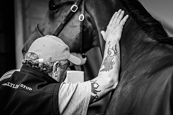 Goffs UK Breeze Up 2022-310