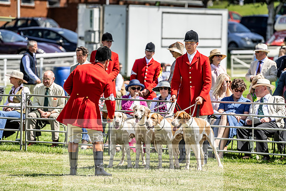 Builth Hound Show 2019-81