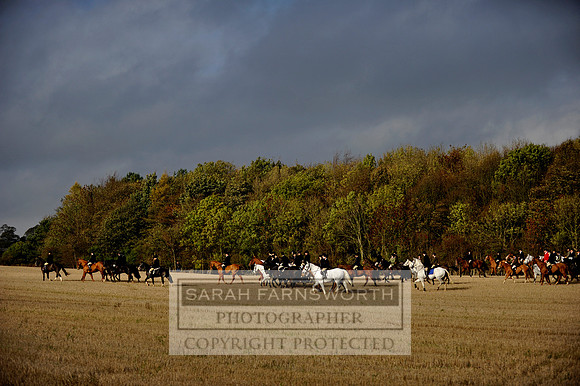 Brocklesby 021113 CF3 634