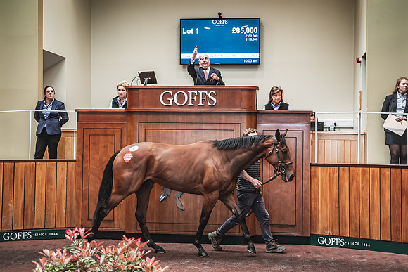 Goffs UK Breeze Up 2022-194