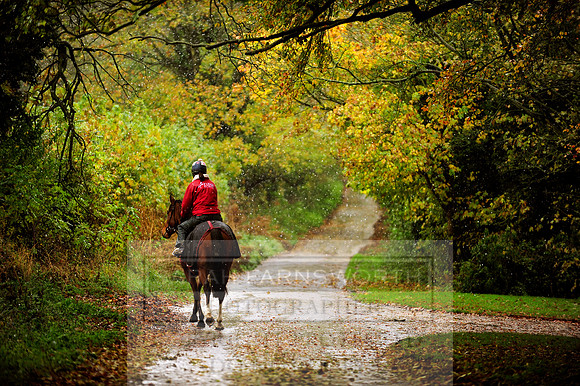 Autumn Snow 023