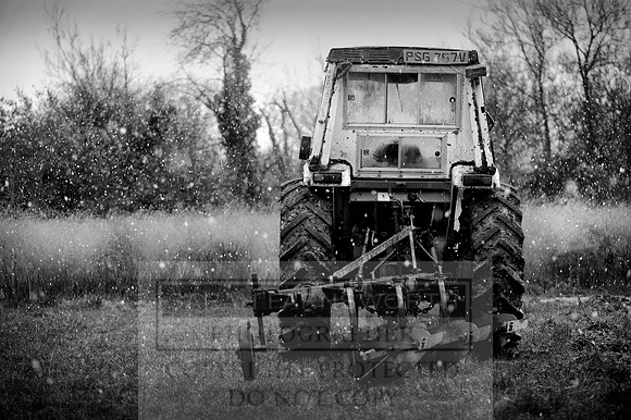 Autumn Snow 002 bw