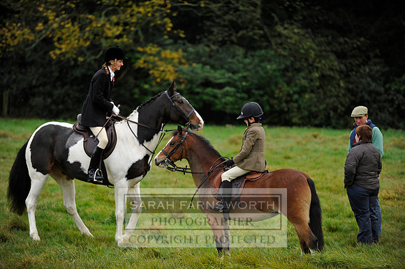 Brocklesby 021113 CF3 269