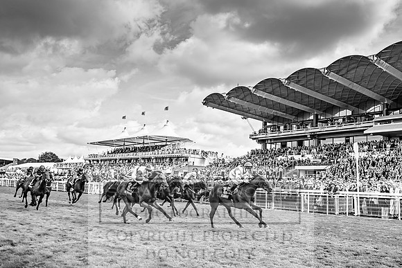 GUK Goodwood Sale 2019-106