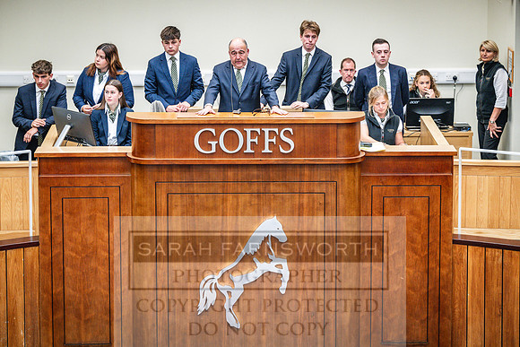 Goffs UK PY24-379