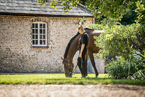 GUK Goodwood Sale 2018-10