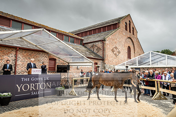 GUK Yorton Sale 2019-304