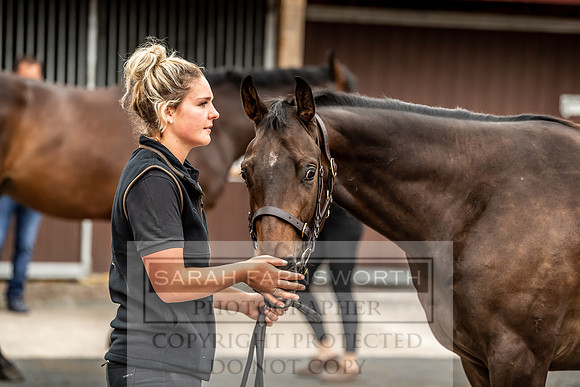 GUK Yorton Sale 2019-98