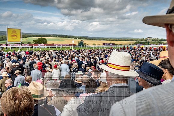 GUK Goodwood Sale 2019-140