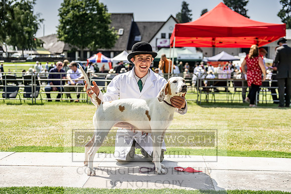 Builth Hound Show 2019-160