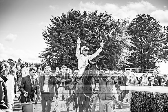 GUK Goodwood Sale 2019-165