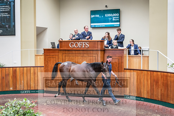 Goffs UK PY24-438
