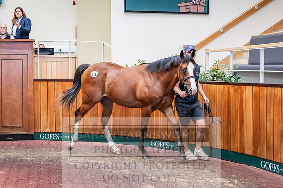 Goffs UK PY24-534