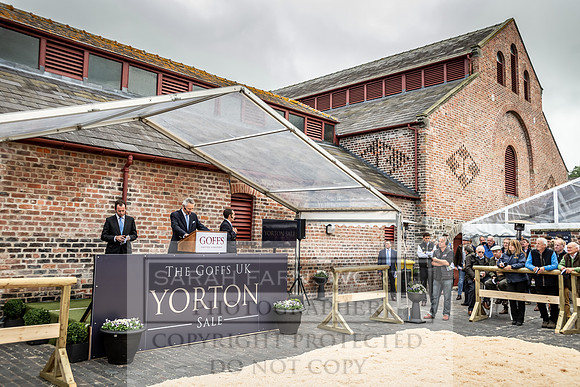 GUK Yorton Sale 2019-275