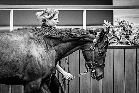 Goffs UK Breeze Up 2022-319