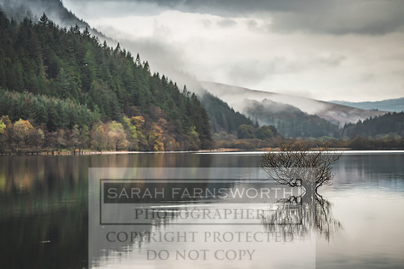 Loch Eck October 2019-13