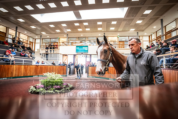 Goffs UK PY24-94