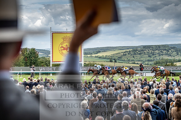 GUK Goodwood Sale 2019-13