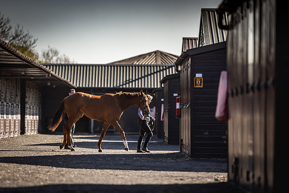 Goffs UK Breeze Up 2022-116