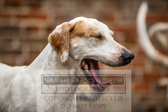 Ledbury 090318-639