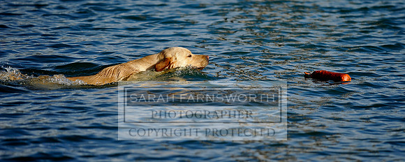 Drake 260214 CF1 047 pan