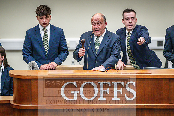Goffs UK PY24-384