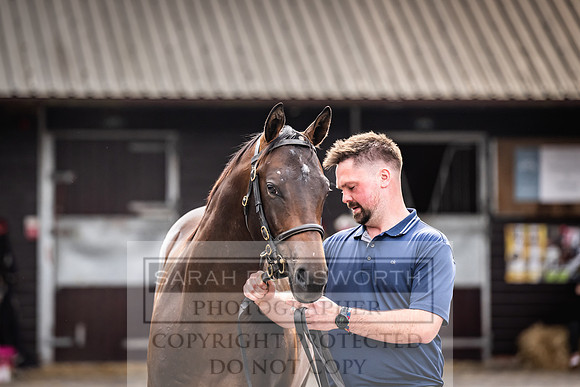 Goffs UK PY24-452