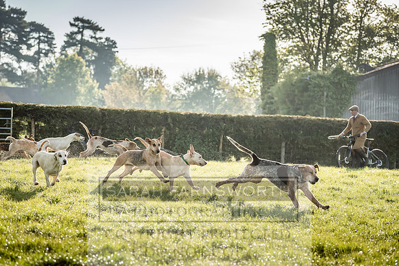Heythrop Kennels-9