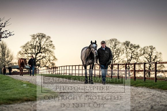 Tweenhills January 2019-57