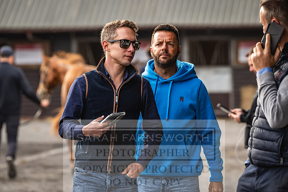 Goffs UK PY24-33
