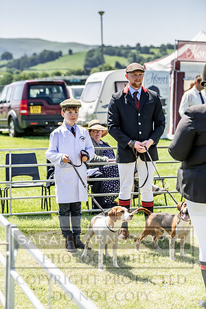 Builth Hound Show 2019-104