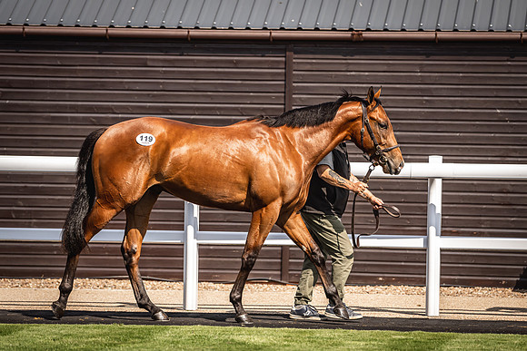 Goffs UK Breeze Up 2022-308