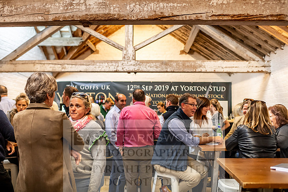 GUK Yorton Sale 2019-13