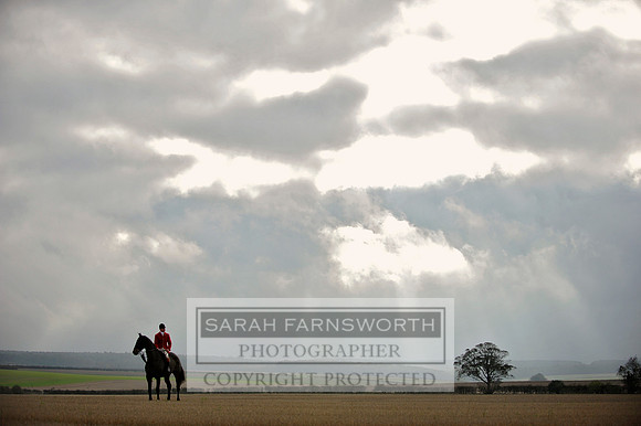 Brocklesby 021113 CF3 736
