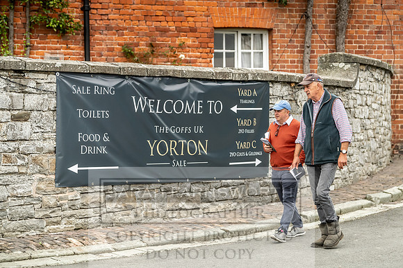 GUK Yorton Sale 2019-216