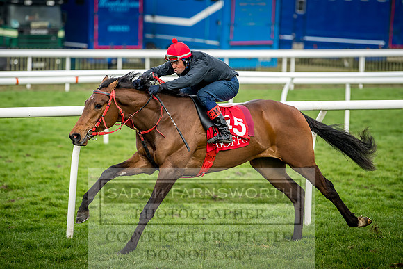 GUK Breeze Up 2018-186