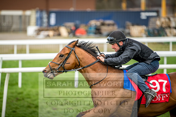 GUK Breeze Up 2018-253