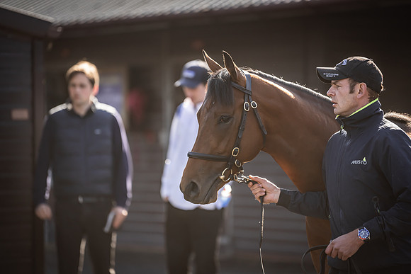 Goffs UK Breeze Up 2022-90