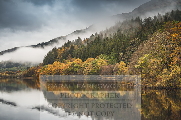Loch Eck October 2019-10