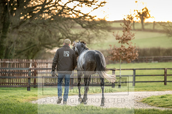 Tweenhills January 2019-71
