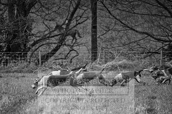 Ludlow 261215-503 bw