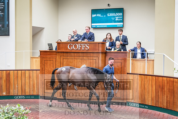 Goffs UK PY24-437