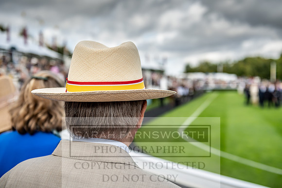 GUK Goodwood Sale 2019-184