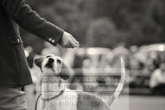 Rydal 2014 CF2 535 bw