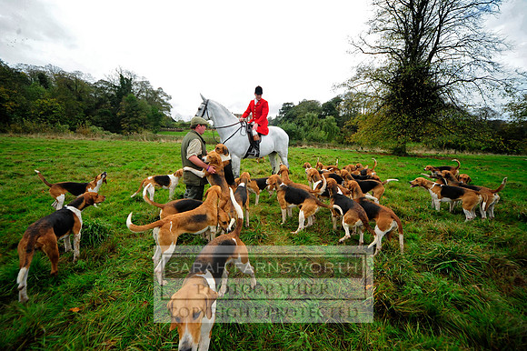 Brocklesby 021113 CF1 057