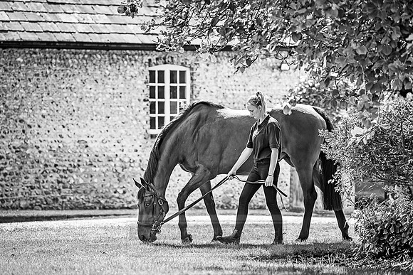 GUK Goodwood Sale 2018-16